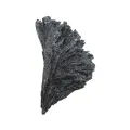 Black Kyanite