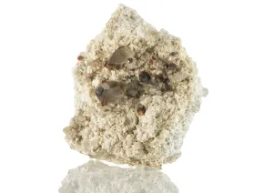 Garnet