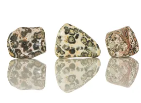 Jasper Leopard Skin