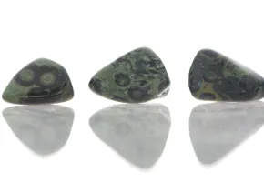 Kambaba Jasper
