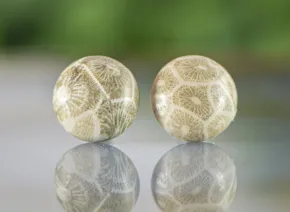 Coralite Earrings