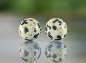 Jasper Earrings