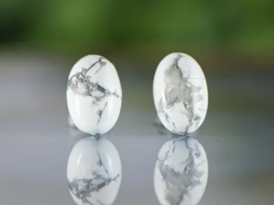 Howlite Earrings