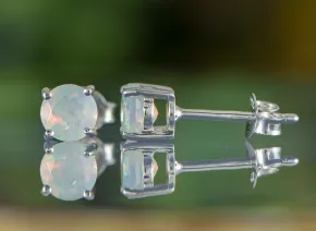 Opal Earrings 5mm
