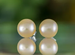 Pearl Earring AA 7-8mm