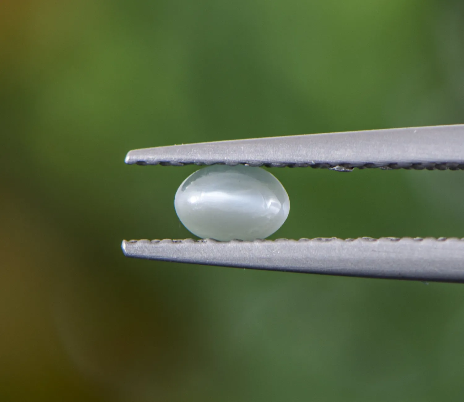Alexandrite Cats Eye