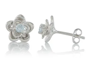 Aquamarine Earrings
