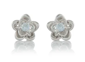 Aquamarine Earrings