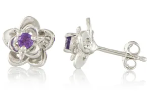 Amethyst Earrings