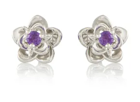 Amethyst Earrings