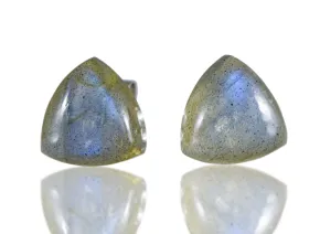 Silver earrings with Labradorite