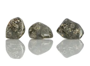 Turitela Agate