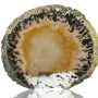 Natural Agate – polished slice