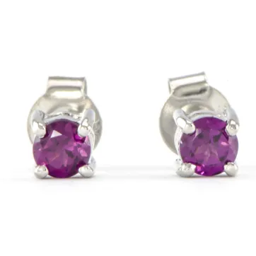 Silver earrings with Garnet