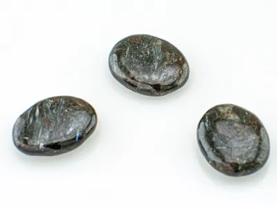Astrofilite AA